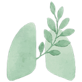 KLS Logo